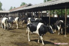 ũҵ��ҵ��Ѹ�ͷ�չ