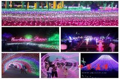 2016����������ƹ����������Ļ