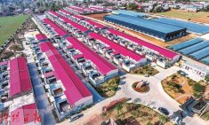 ������������뻭��